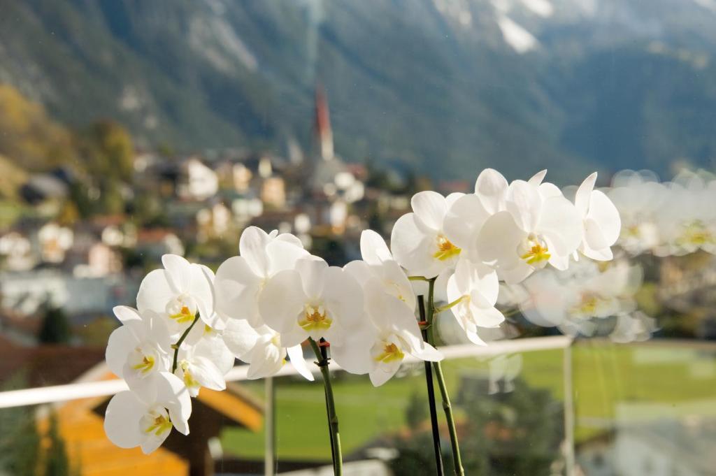 Pension Angelika - 4