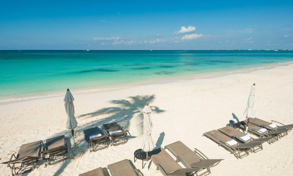 Ảnh 3