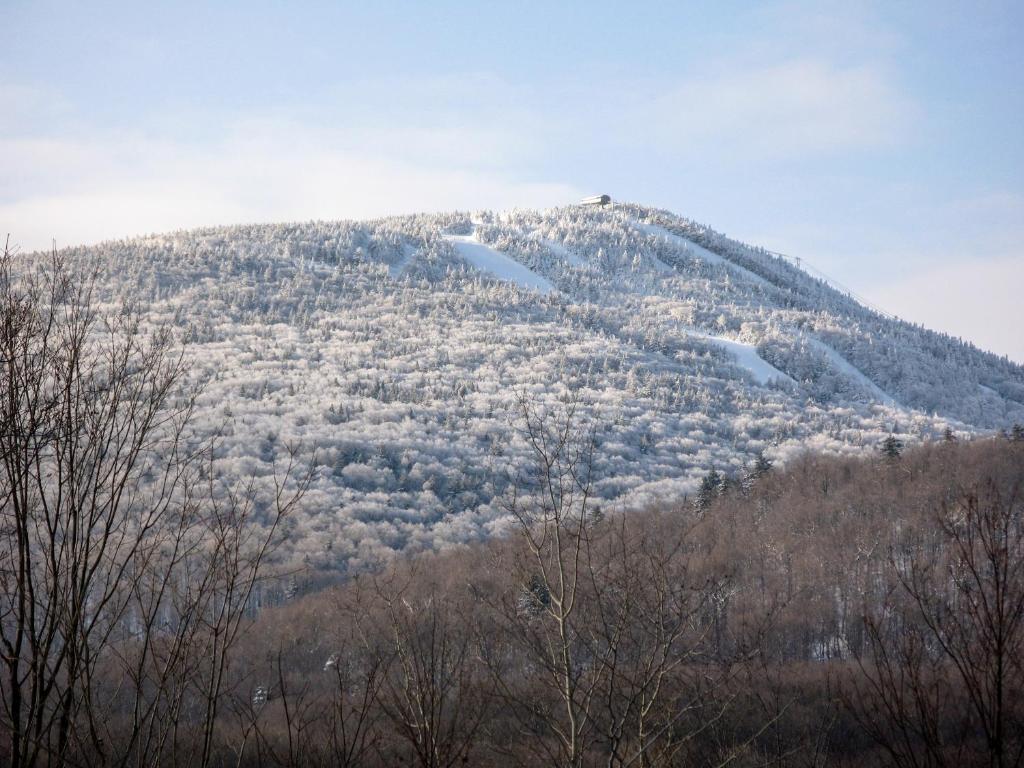 Winterberry Townhouse #4 Main image 1
