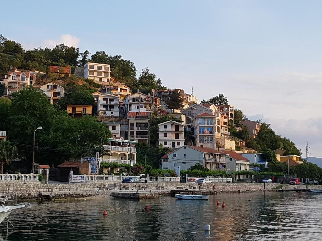 Apartments in Lepetani, Montenegro price from 8, reviews of