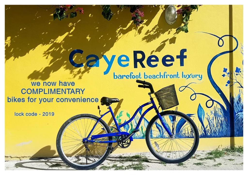 Caye Reef Condos photo