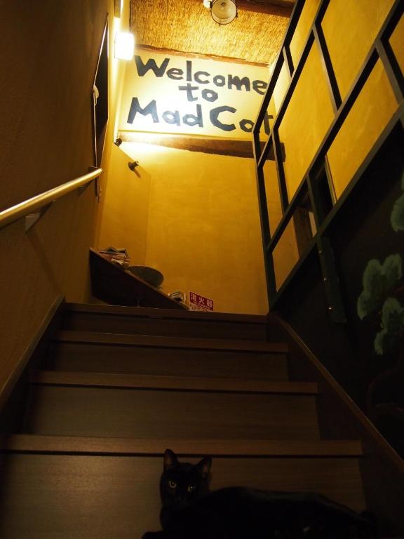 Mad Cat Hostel Osaka & Bar photo