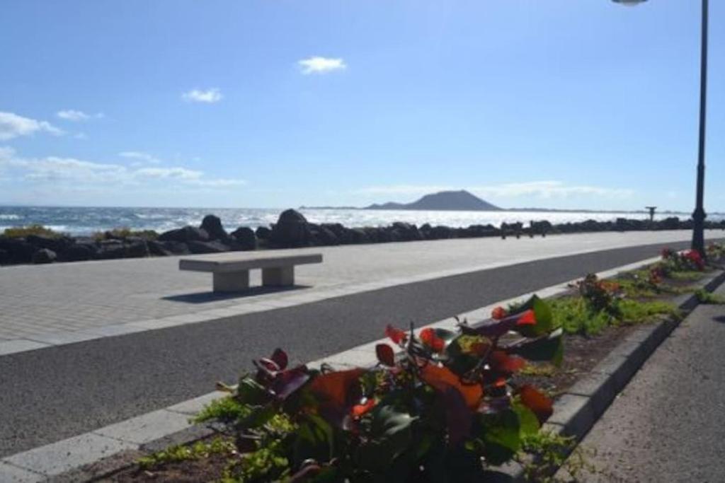 MY OCEAN HOME - Breathtaking location, Steps to the ocean, Spacious sea view, Fully Equipped and Well-Furnished with Private Entrance and High-Speed Fiber Optic Internet - 4
