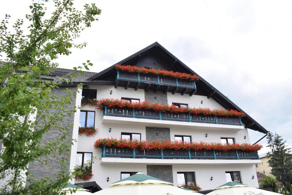 Vila Seva — Hotel in Vatra Dornei