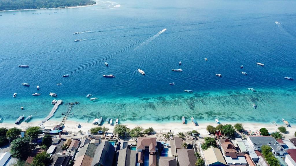 Dream Divers Resort photo