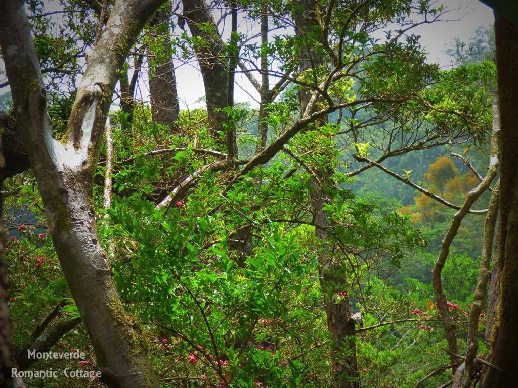 Surrounding environment