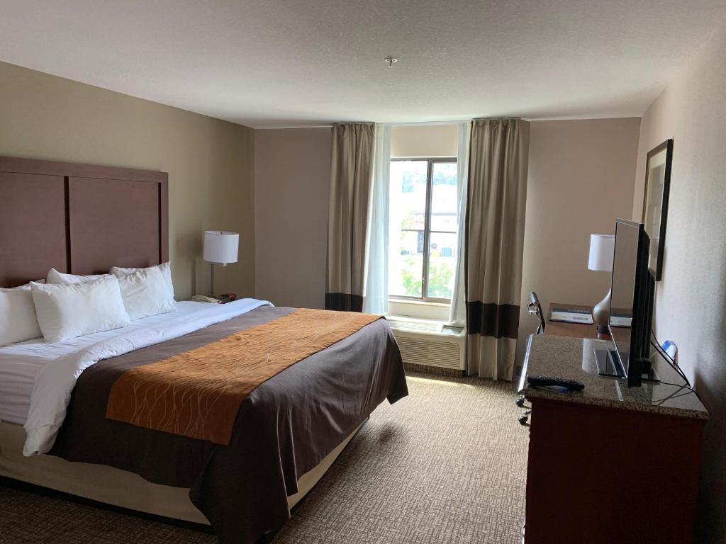 Comfort Inn Smithfield photo