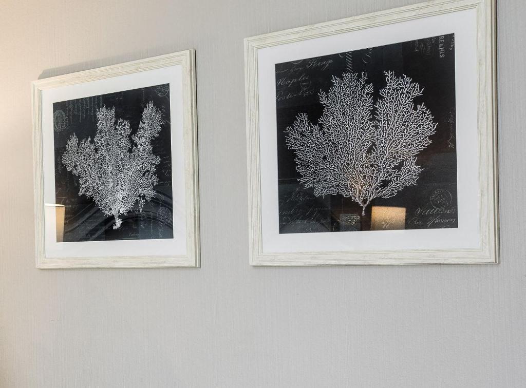 Premier Hotel Cape Manor Photo 37