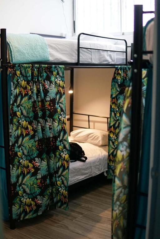 NATIVUS Art-Hostel photo