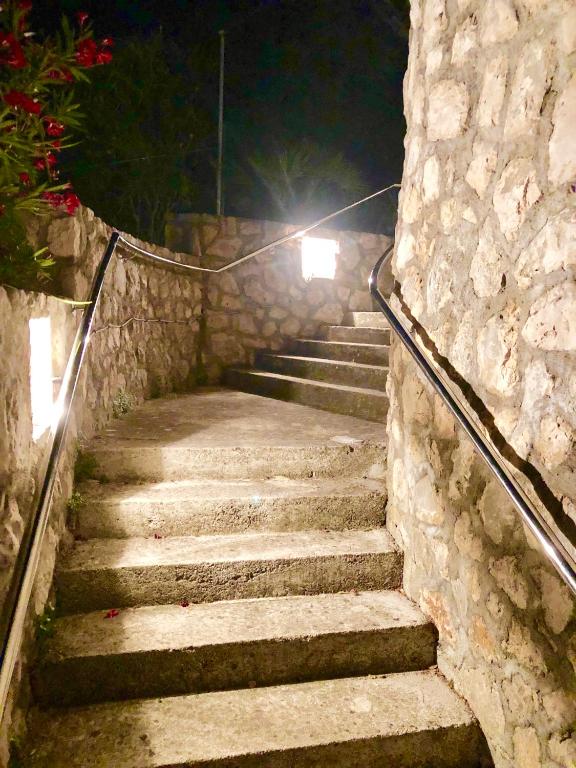 Villa Dinastija photo