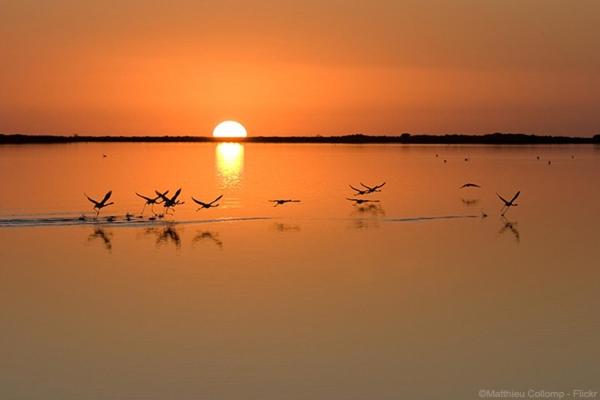 Surrounding environment