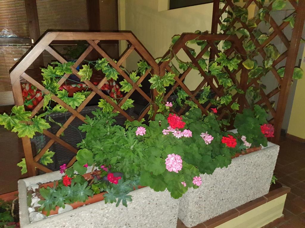 garda felice - 5