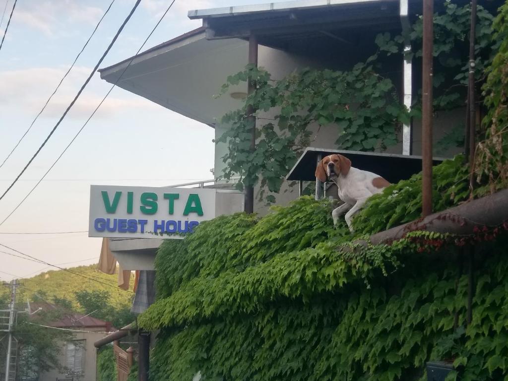 Guest House Vista — Hotel in Sighnaghi