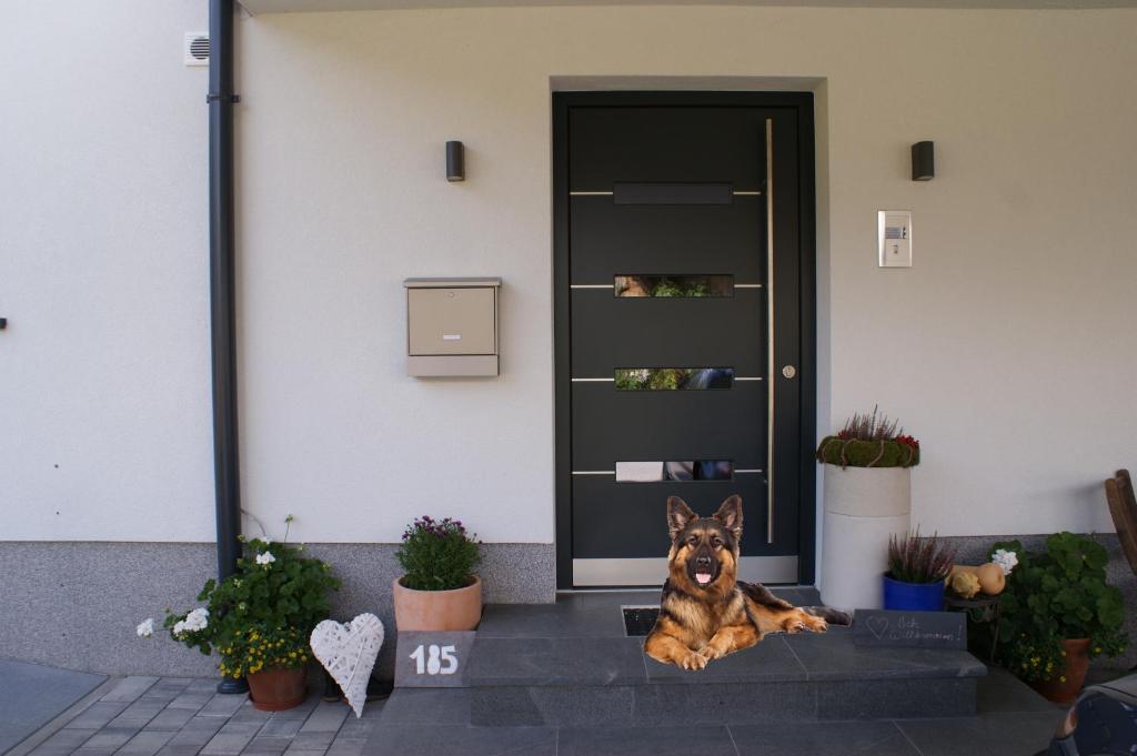 Appartement Waldblick - 2