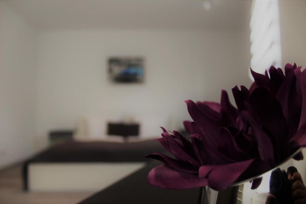 Aparthotel ZOE Elversberg