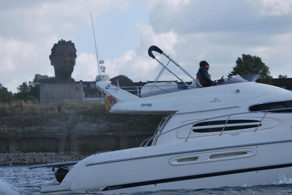 アクティビティ