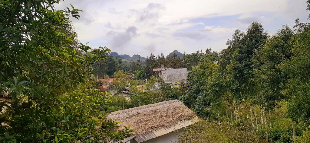 Surrounding environment