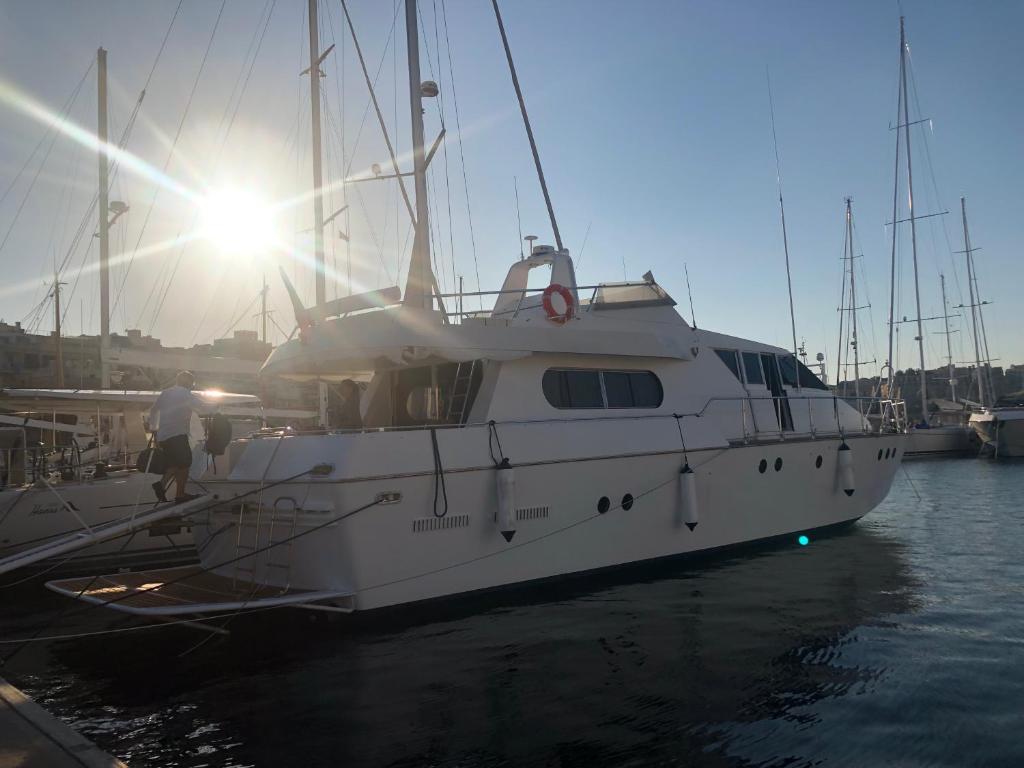 Sea BaronIV "BedsonBoat" photo