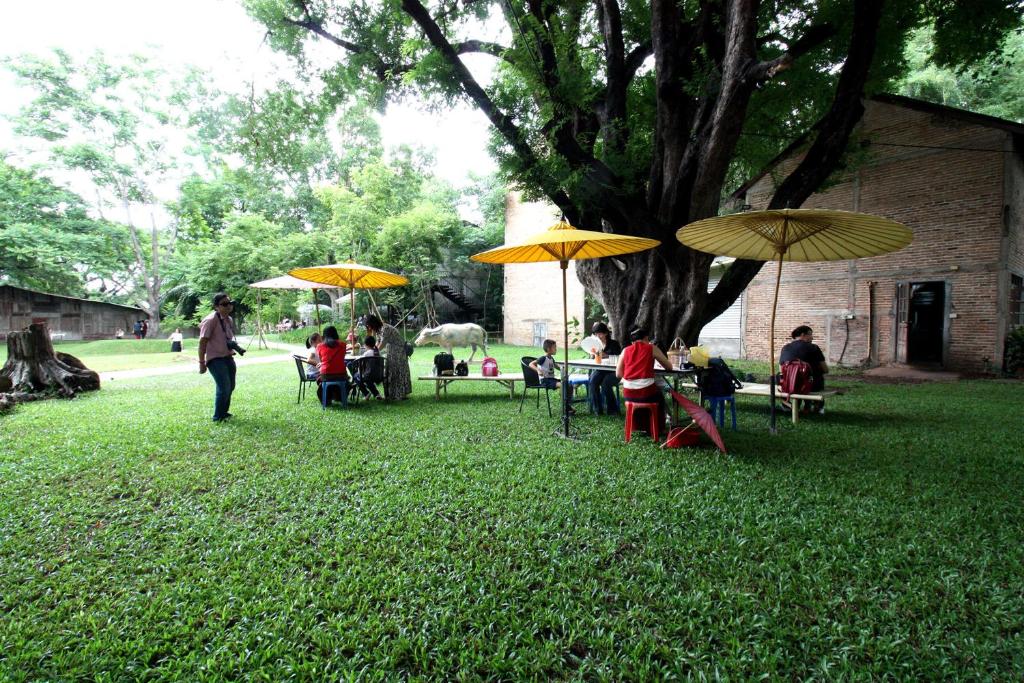 アクティビティ