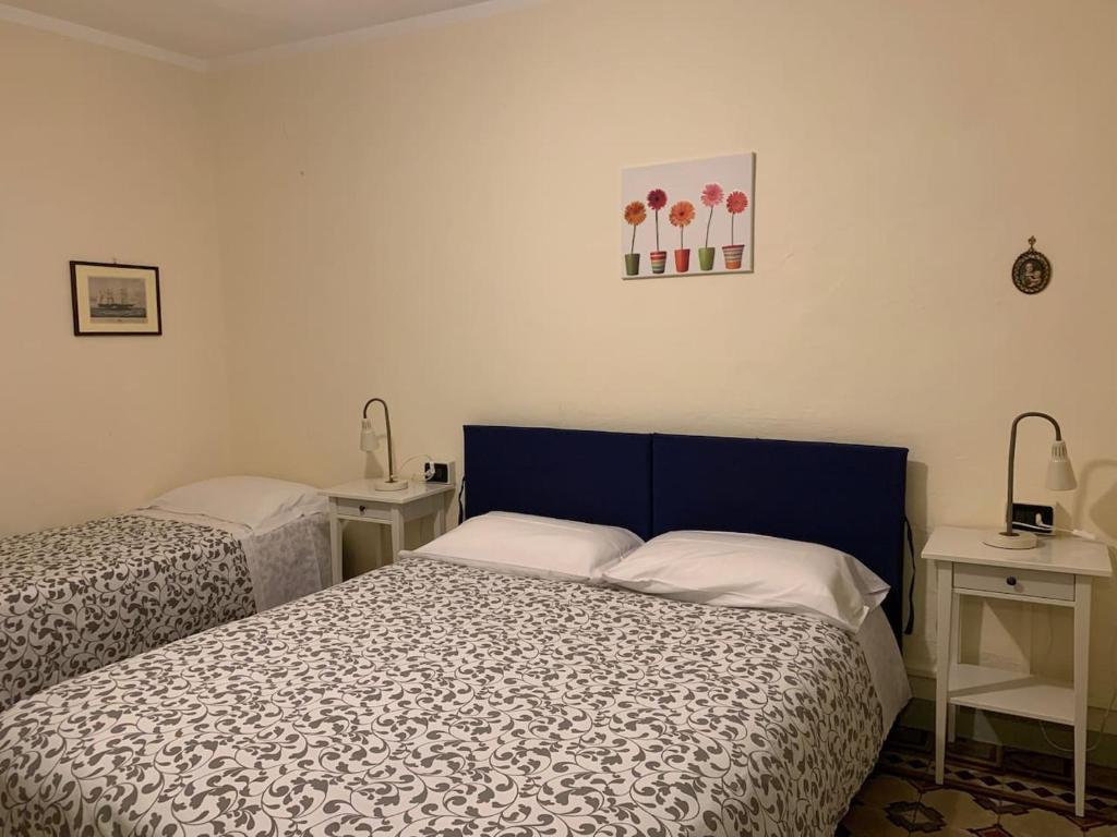 La Casa dei Bibi, La Serra - 3