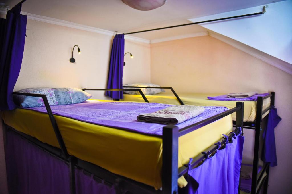 Goldy Hostel photo