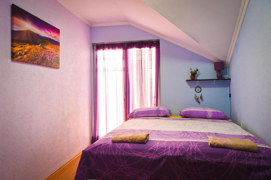 Goldy Hostel photo