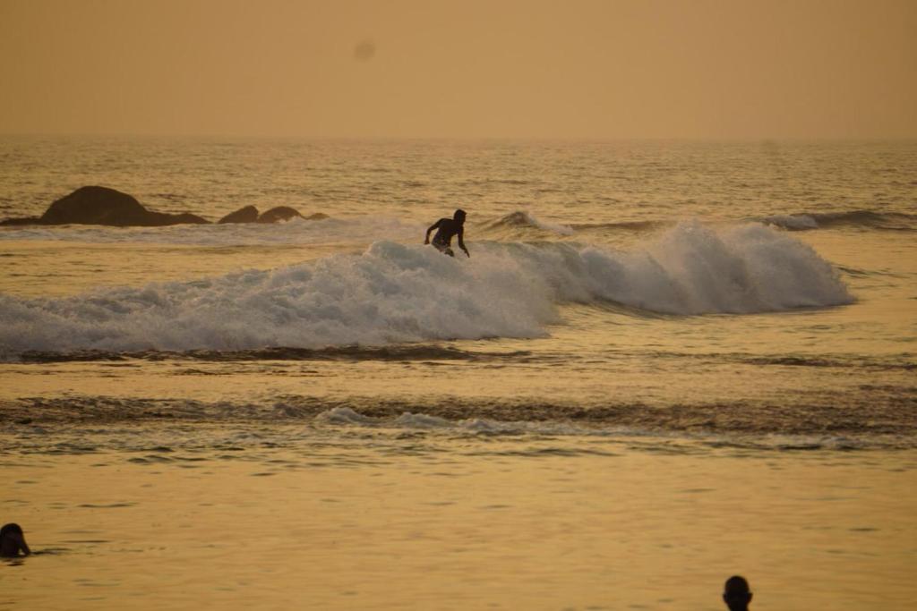 Eco Breeze - Unawatuna photo