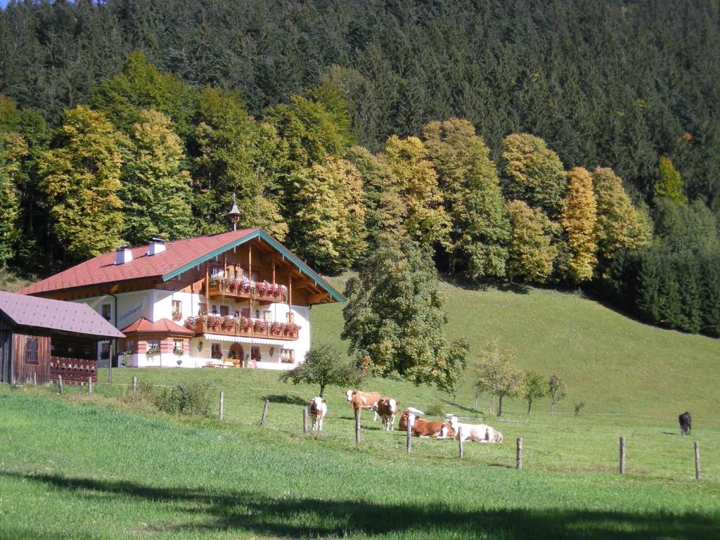 Am Ferienbauernhof Schmiedbauer com Salzkammergut - 2