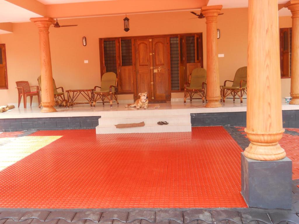 CoconutCrazy! Homestay photo