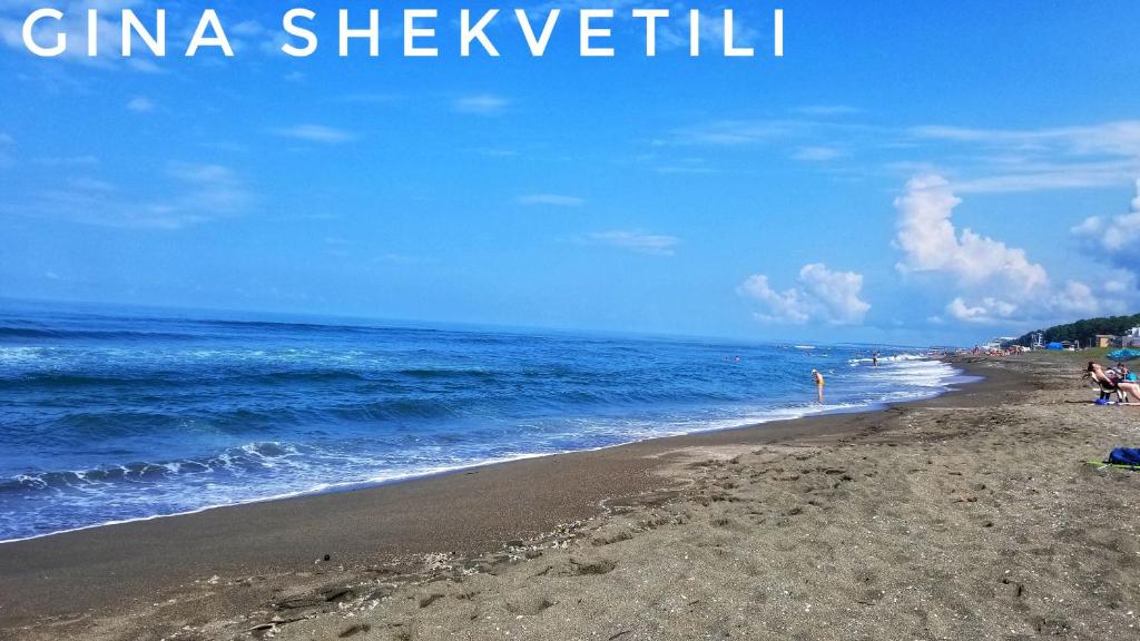 GiNa Shekvetili photo