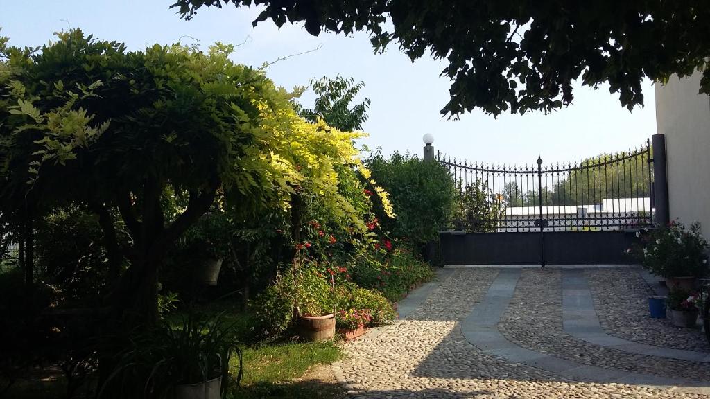 Il Germano Reale - 2