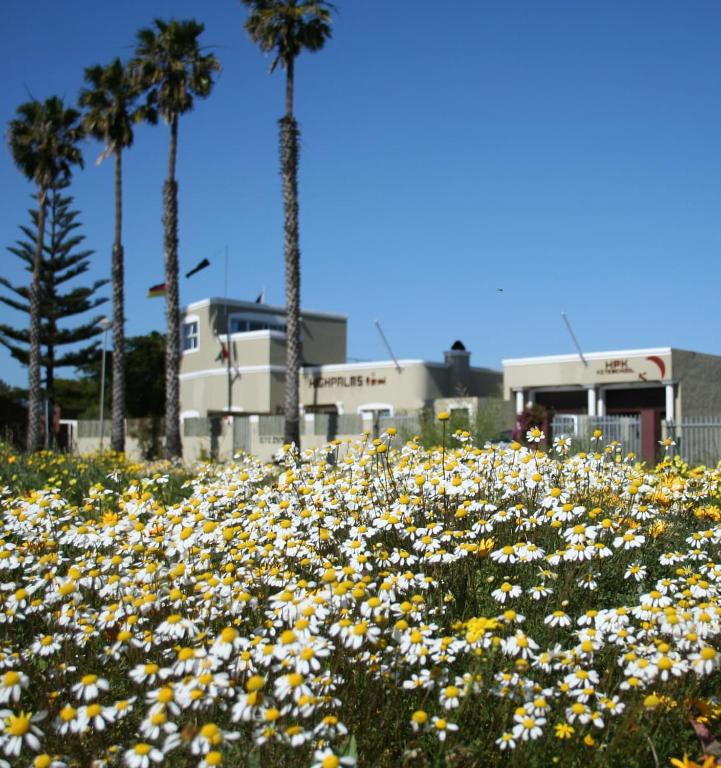 High Palms s/c flat, Langebaan