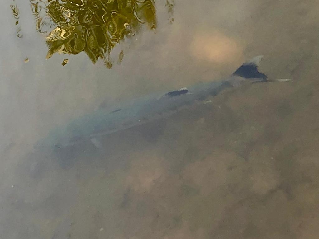 Szórakozási lehetőségek