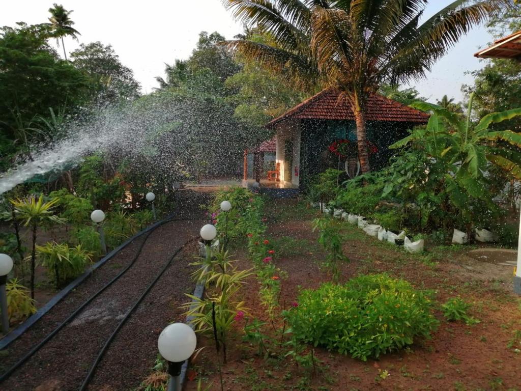 Nettle Trees Farm Stay, Alleppey