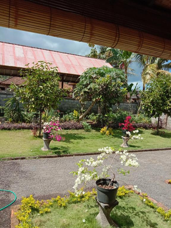 Hause market photo