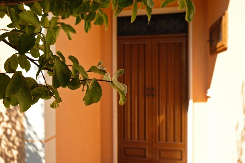 CASA TERRE BAROCCHE - 4