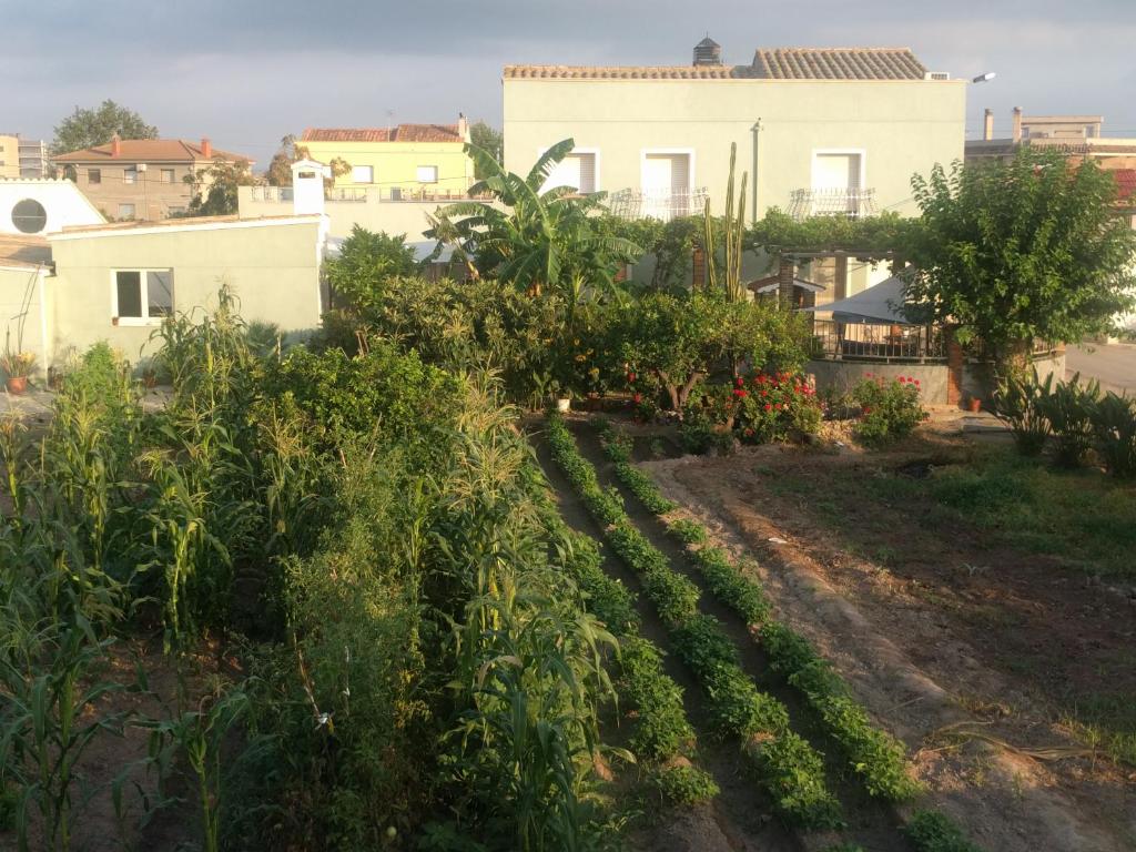 Casa Baleso - 4