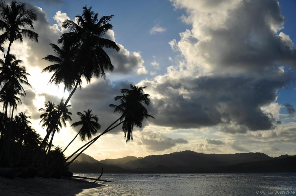 Surrounding environment