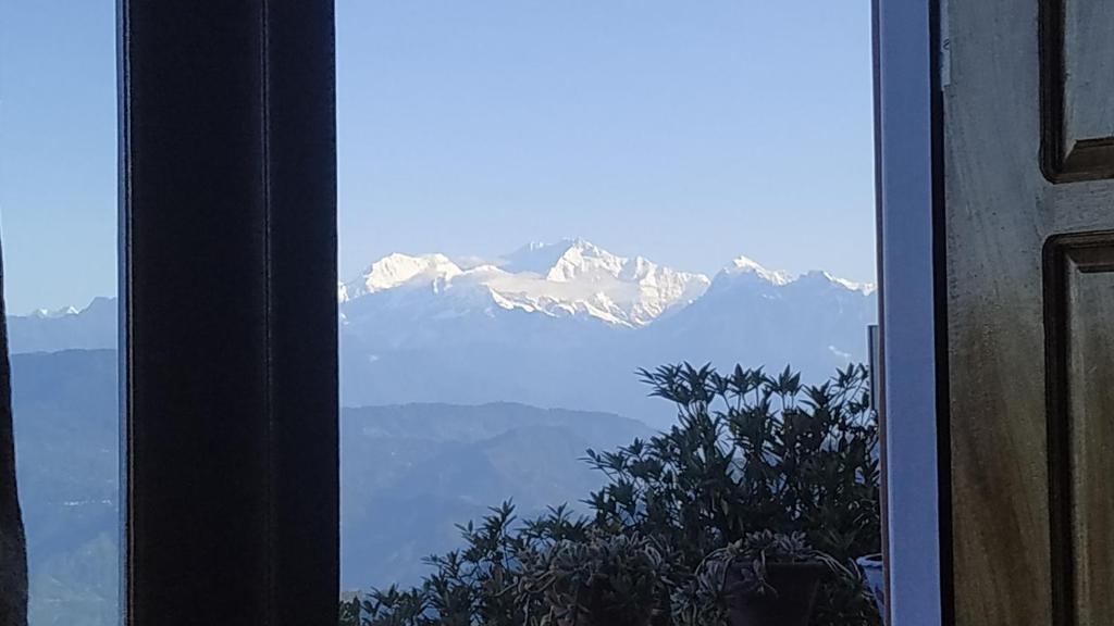 Rambler's Nesting Homestay photo