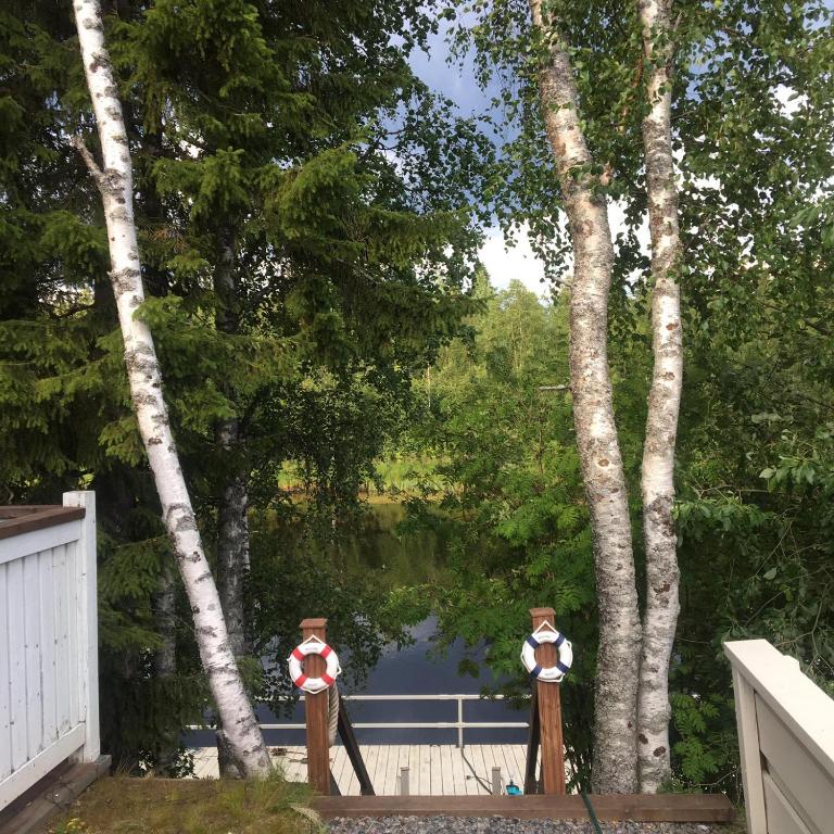Arctic Resort Delight photo