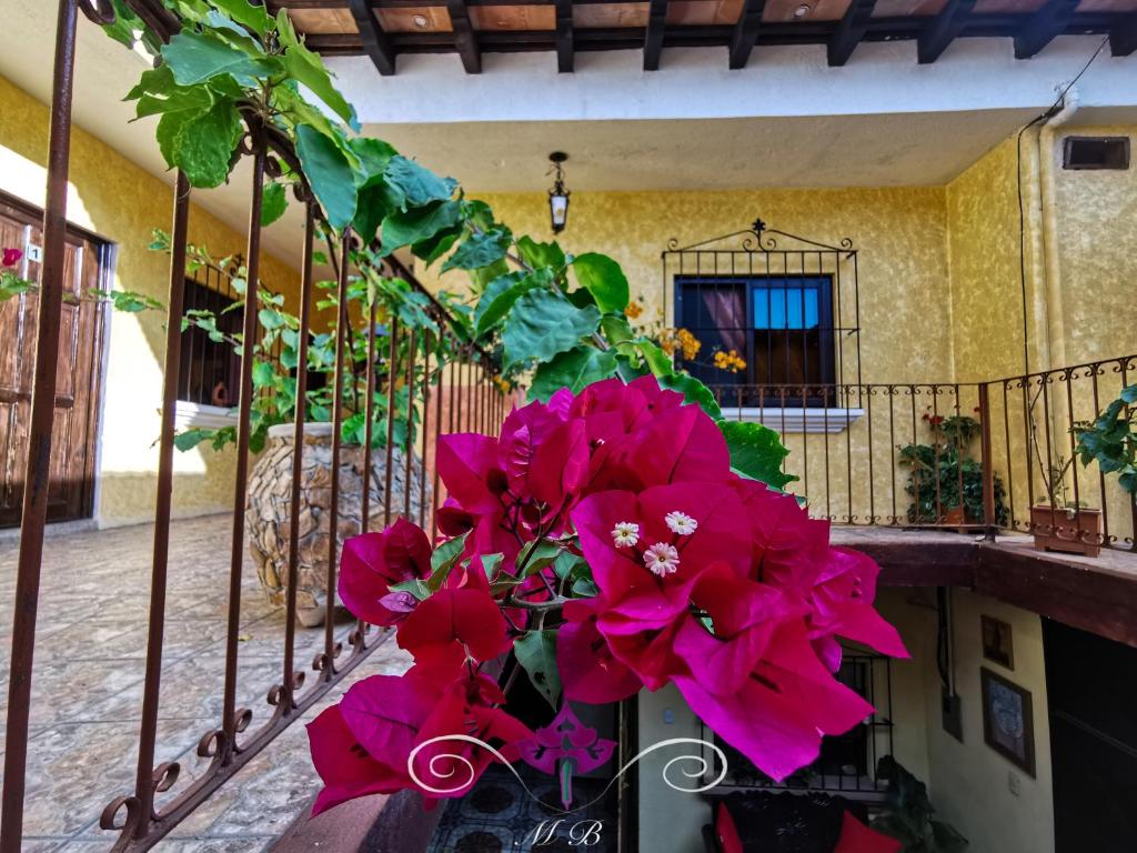 Maison Bougainvillea photo