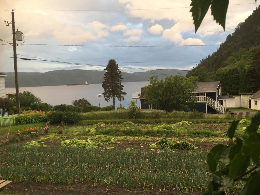 Ferme Jardin Potager 전경