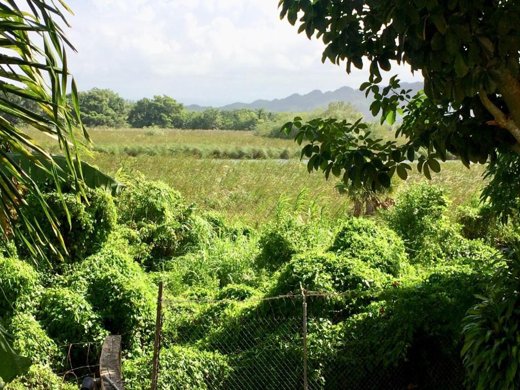 Surrounding environment