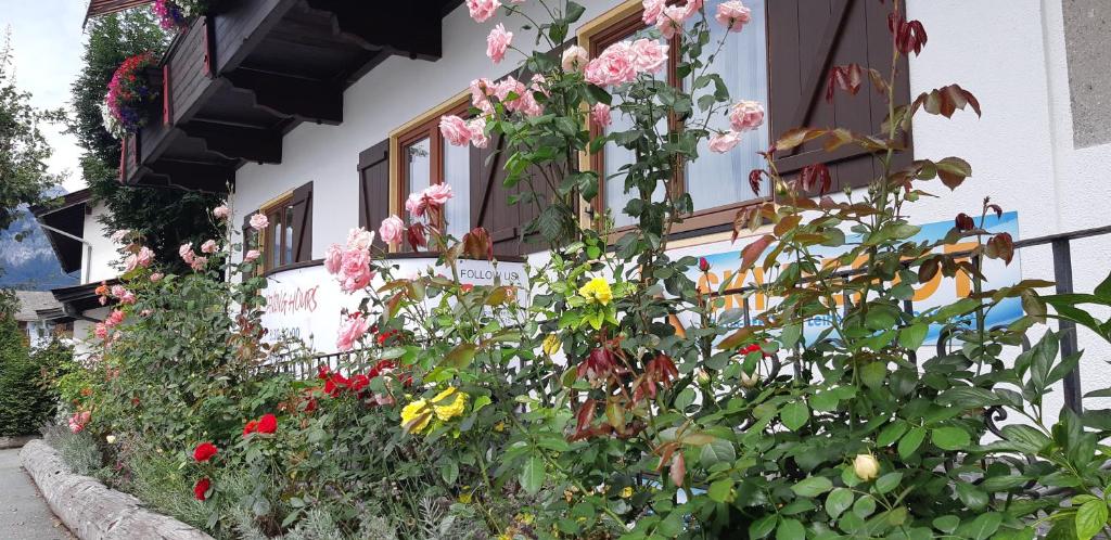 Noichl’s Hotel Garni - 5