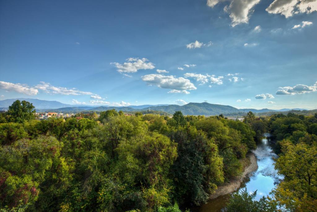 Surrounding environment