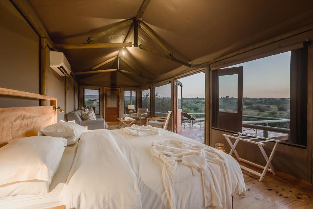 Hlosi Game Lodge - Amakhala Game Reserve, Amakhala Game Reserve
