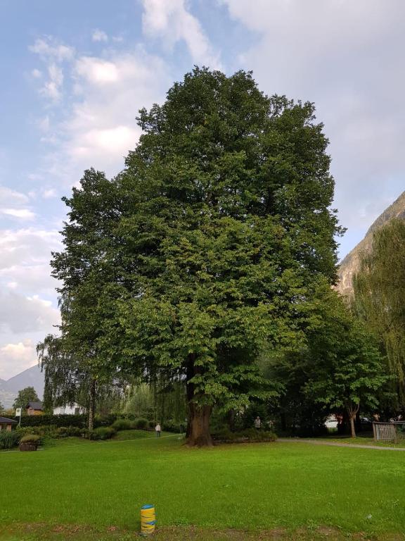 Privatzimmer Bundschuh photo