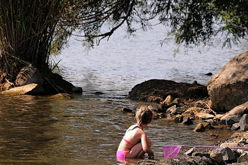 International Glamping Lago Di Bracciano photo
