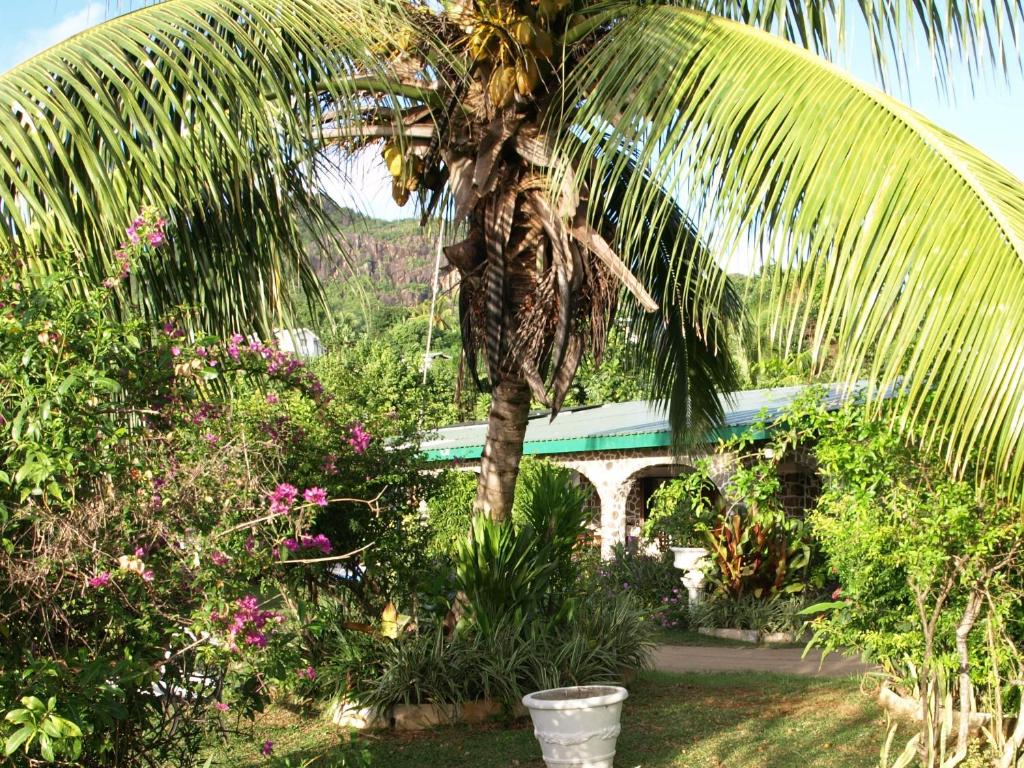 Castaway Lodge photo