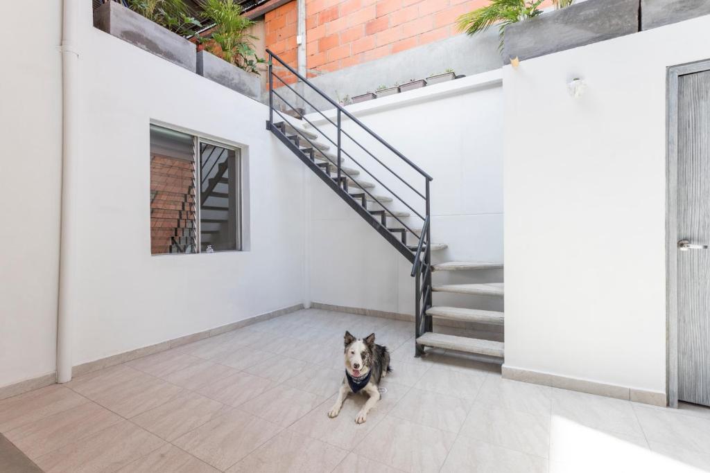 Gaston Coliving photo
